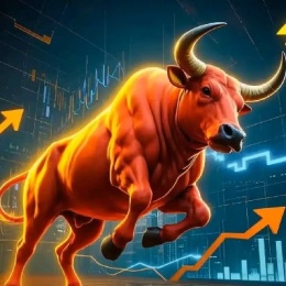 LongPort - 赛莱德 818