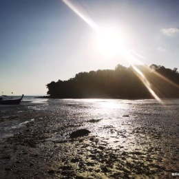 LongPort - 泽泽shop