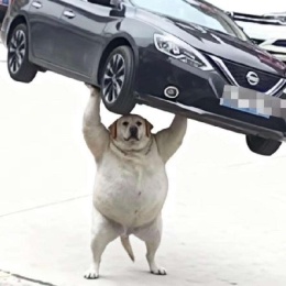 LongPort - Kuiren Taoffett