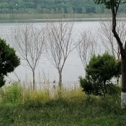LongPort - 新用户_UlSebR