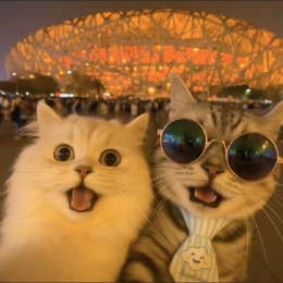 LongPort - 赚了就跑的牛牛