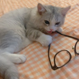 LongPort - 新用户右侧交易者