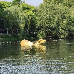 LongPort - 西街巷