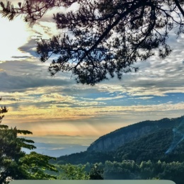 LongPort - 长期&守望