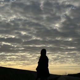 LongPort - 听风的尾声