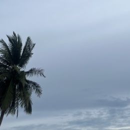 LongPort - sweet 保罗