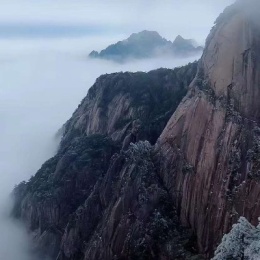 LongPort - 韭菜越割越嫩