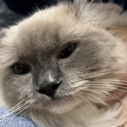 LongPort - 郑大钱