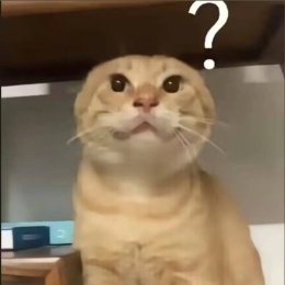 LongPort - 枝豆鸣一