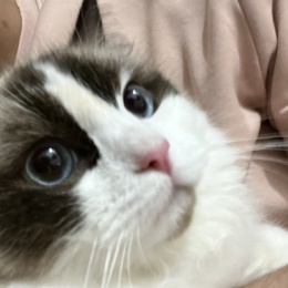 uaenamyf