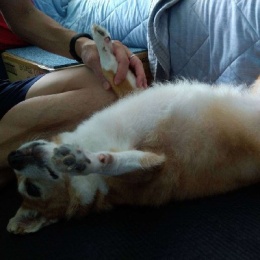 LongPort - Sam 細水長流