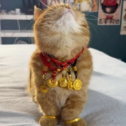 LongPort - 新用户_6ttDxV