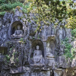 LongPort - 森淼killer