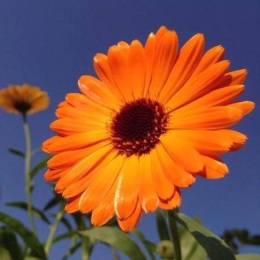 LongPort - 十年一梦股市人