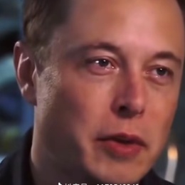 LongPort - 特斯拉英伟达