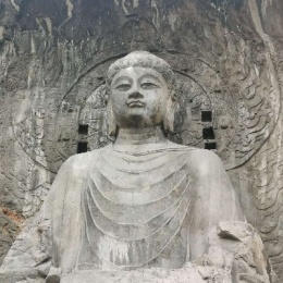 LongPort - 曦宝儿