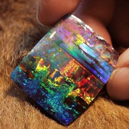 LongPort - D.W.丰盛