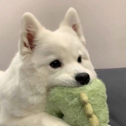 Longbridge - Kelento_Ding