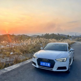 LongPort - 小东江鱼