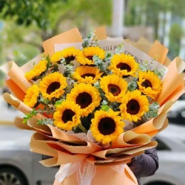 LongPort - 新用户日月昇鼎