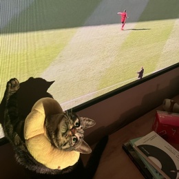 LongPort - 是黑哥不是尼哥