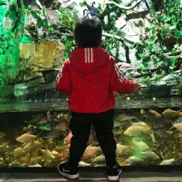 LongPort - 唯有搞钱