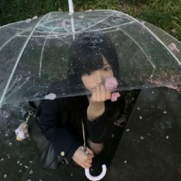 LongPort - 风起云丢