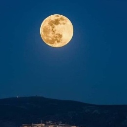Longbridge - MoonHMS