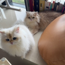 LongPort - 壬子甲乙癸亥