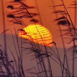 LongPort - 直头摞辣