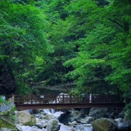 LongPort - 新用户95N