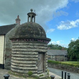 Longbridge - 卡卡罗特023