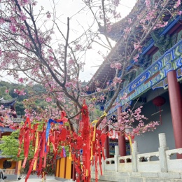 LongPort - 老何养老金