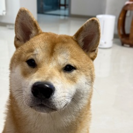 LongPort - 北德交易员