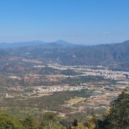 LongPort - 拉牛来炒股