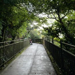 LongPort - Wang Yu Tam