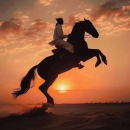 LongPort - 彩虹总在风雨后