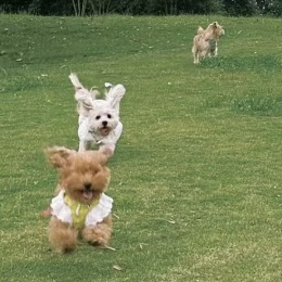 LongPort - 价值哥迷弟跟班