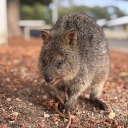 LongPort - NewUser_pjvOeA