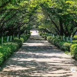 LongPort - LIU_JINTIAN