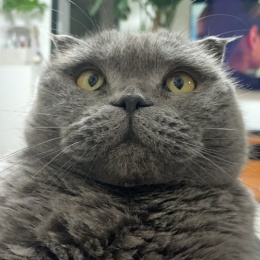 LongPort - 杰斯基