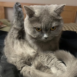 LongPort - 美股猎手