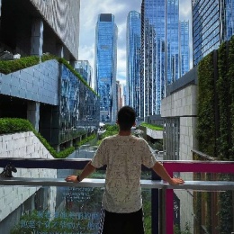 LongPort - 紫霞金月