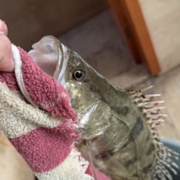 LongPort - 凡事发生皆有利于我