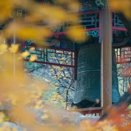 LongPort - 精彩KUN