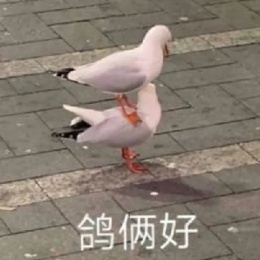 整点薯条