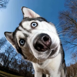 LongPort - 永远怀揣一颗敬畏之心