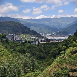 LongPort - Sammelika