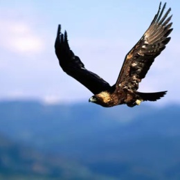 LongPort - 平常心、