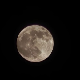 LongPort - 吃葡萄不吐皮